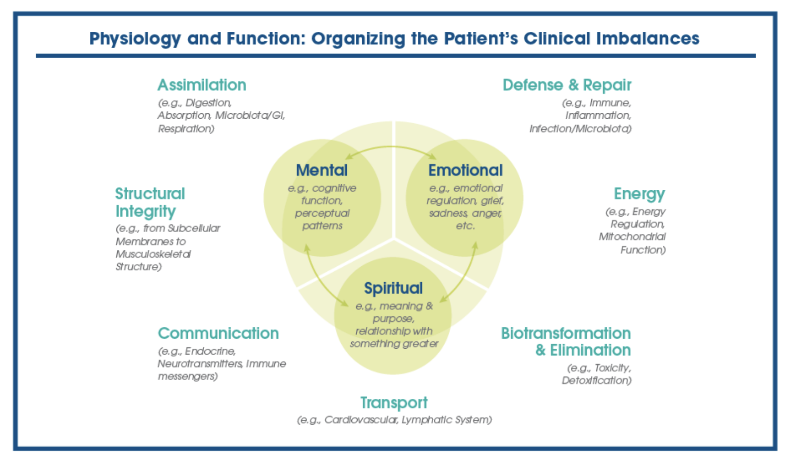 Physiology & Function: Organizing the Patient's Clinical Imbalances