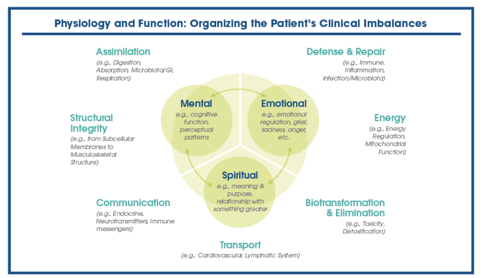 Functional Medicine Psychiatry