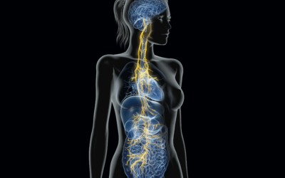 Vagus Nerve Dysfunction, Symptoms, and Healing